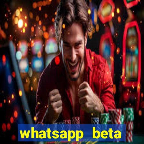 whatsapp beta 3.3.10 2024