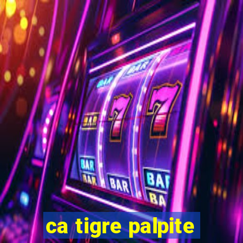 ca tigre palpite