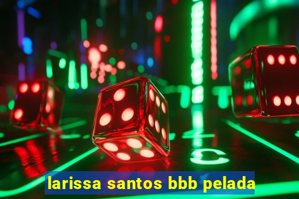 larissa santos bbb pelada