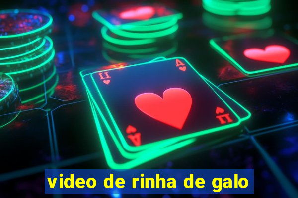 video de rinha de galo