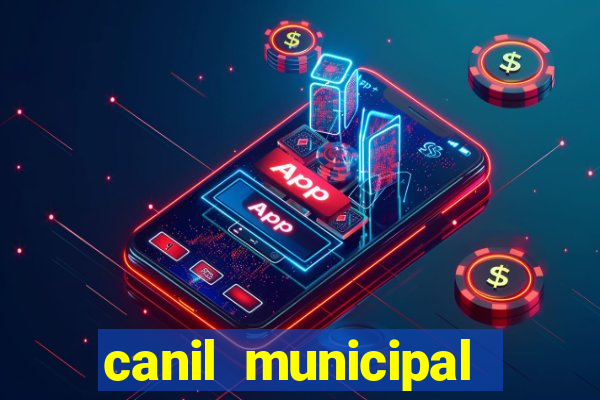 canil municipal porto alegre