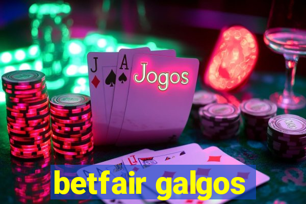 betfair galgos