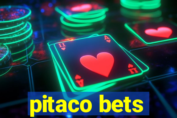 pitaco bets