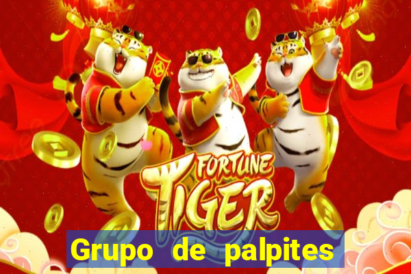 Grupo de palpites de futebol gratis