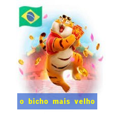 o bicho mais velho da loteria dos sonhos